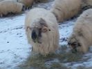 P05-02-14_16.59[02]