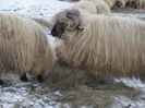 P05-02-14_17.02[03]