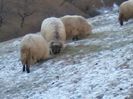 P05-02-14_16.58[03]