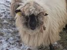P05-02-14_17.11[05]