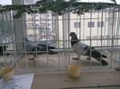 DSCF7942