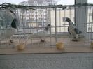 DSCF7943