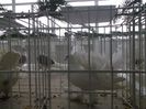 DSCF8001
