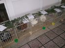 DSCF8058