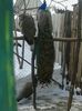 20140208_113306