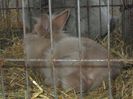 IMG_0708