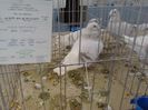 IMG_20140209_100804_0