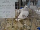 IMG_20140209_100808_0