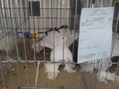 IMG_20140209_102032_0
