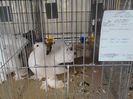 IMG_20140209_102037_0