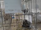 IMG_20140209_102842_0