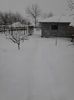 IMG_20140129_165324