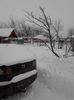 IMG_20140129_165347
