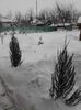 IMG_20140130_123527