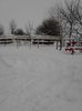 IMG_20140130_124227