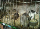 IMG_20140208_063805