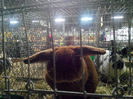 IMG_20140208_063819