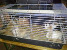 IMG_20140208_064034