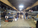 IMG_20140208_064055