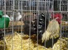 IMG_20140208_064143