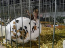 IMG_20140208_064207