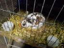 IMG_20140208_064219