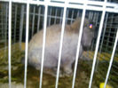 IMG_20140208_064313