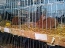 IMG_20140208_064439