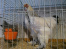 IMG_20140208_064502