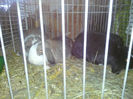 IMG_20140208_064819