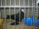 DSCN1388