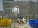 DSCN1393