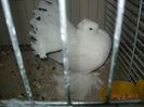 DSCN1418
