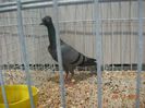 DSCN1426