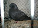 DSCN1429