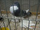 DSCN1434