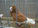 DSCN1436