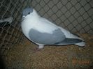 DSCN1452