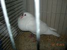 DSCN1456