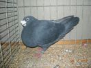 DSCN1457