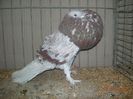 DSCN1458