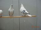 DSCN1498
