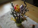 DSCN1546