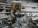 DSCN1559