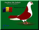 jucator de galati_plansa color2