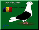 jucator de galati_plansa color5