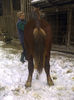 IMG-20140209-01638