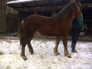 IMG-20140209-01640