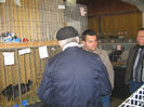 expozitie campina 2014 025