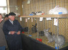 expozitie campina 2014 026